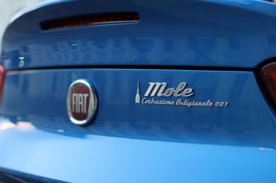 Логотип Fiat 124 Mole Costruzione Artigianale 001 (348) 2017 года  (фото 7 из 12)